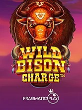 wild-bison-charge